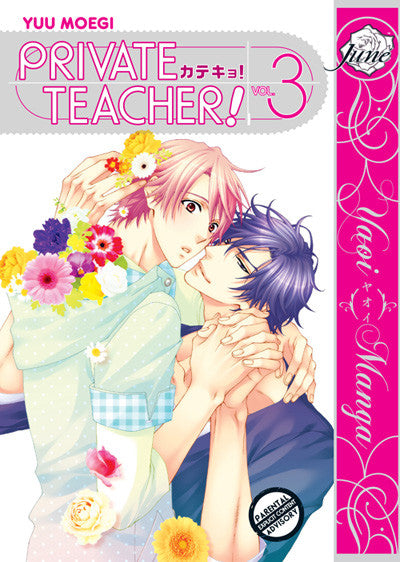 Private Teacher! Vol. 3 - June Manga